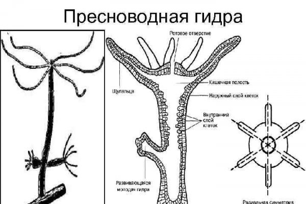 Кракен зеркало сегодня